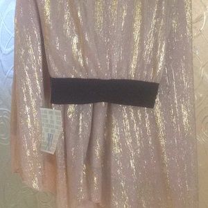 Lularoe Elegant Lucy skirt XL